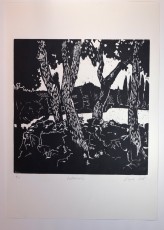 Valocchie, 2016, web